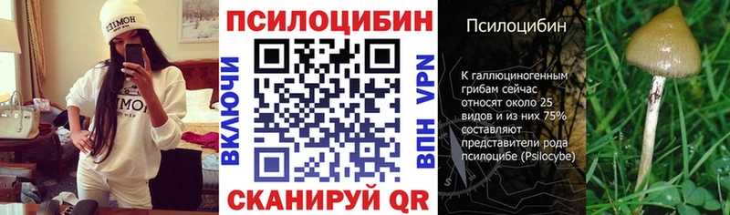 Псилоцибиновые грибы мицелий  Купить где  Новотроицк 